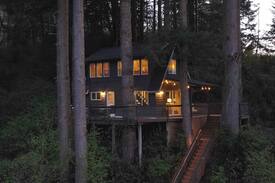 Lakeside Cabin | Cabin in the Tree’s on the Lake- Boat Access Only