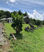 Banner Elk House | Shawneehaw Outpost-Little Bear House-dog friendly