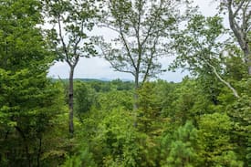 Ellijay Cabin | Sky High Sanctuary - Sleeps 16