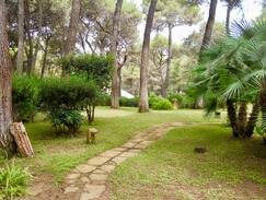 Riva dei Tessali Villa | Villa i Ginepri n.24 - Riva dei Tessali