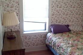 Davenport Bed & Breakfast | 5 minute NYST Davenport Oneonta Inn Room 3
