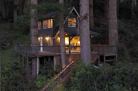 Lakeside Cabin | Cabin in the Tree’s on the Lake- Boat Access Only