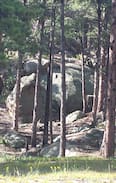 Florissant Cabin | Idlewild Ridge Ranch Historic Cabin