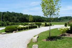 McMinnville Other | The Getaway at the Collins River Tree Farm
