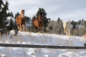 Wolf Creek House | Whisper Ranch, an intimate, luxury ranch stay