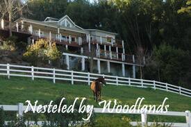 Soquel Other | Willow Pond Ranch