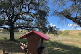 Sonoita House | Under the Oaks