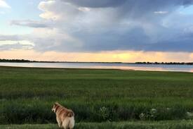 Loveland House | Loveland Waterview Long-term Rental