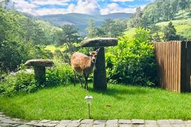 Glendalough House | ‘An Cillín’, a rustic retreat in Glendalough