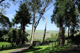 Point Reyes Station Cabin | Inverness Herons Nest- Ideal Getaway for a Couple