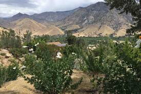 Kernville Cabin | Secluded Kernville Cabin with a View