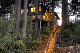 Lakeside Cabin | Cabin in the Tree’s on the Lake- Boat Access Only