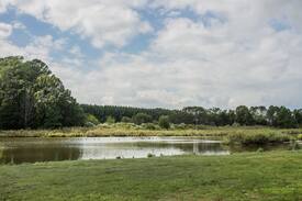 St. Michaels House | Bird Dog Run