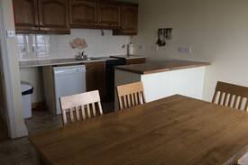 Garrettstown Cabin | White Wave Cottage 3