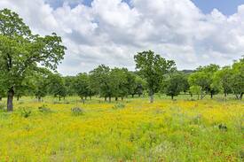 Fredericksburg Cabin | Absolutely Charming Tin Roof Cottage, 2/2 Rustic Cabin, Great Hill Country Views