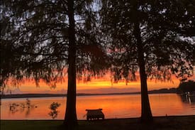 Homer Cabin | Cozy and quiet place on beautiful Lake Claiborne