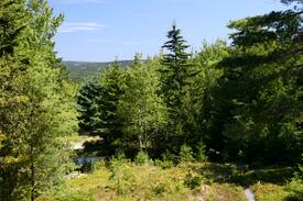 Southwest Harbor Cabin | Cranberry Cottage in Acadia, 5 min walk into town!