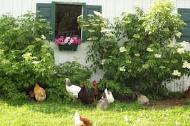 Harrison House | The Inn at Harmony Farm B&B