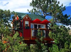 Lyons Other | Little Red Treehouse