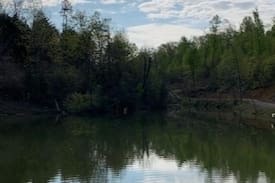 Trenton Cabin | Huckleberry Cottage "cottage with a view"