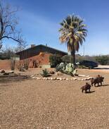 Tubac Apartment | Adobe Flats Is located in the heart of Tubac