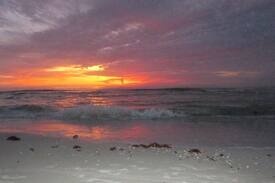 Indian Rocks Beach Apartment | STEPS TO THE BEACH!! Dunes Point, Indian Rocks