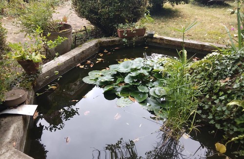 Saint-Avertin Bed & Breakfast | Studio Dans Grande Maison Piscine Proche Châteaux de la Loire