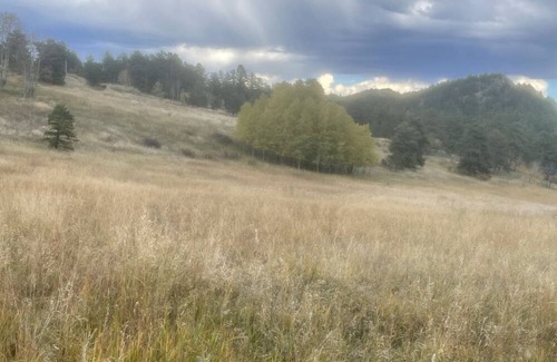 Nederland Cabin | Slice of Wild Heaven: Magical, Cozy, Forest Cabin @ the Top of the World. Views