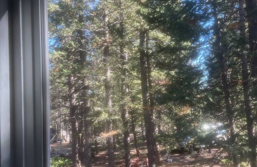 Nederland Cabin | Slice of Wild Heaven: Magical, Cozy, Forest Cabin @ the Top of the World. Views