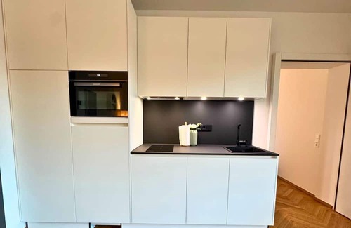 Waldshut-Tiengen Apartment | Isaak Apartment Löwenbau E2-W06