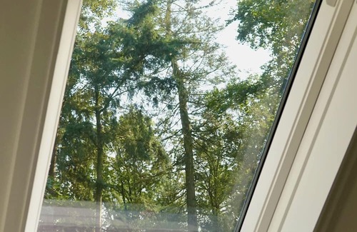 Erp House | Charming Former Forest Ranger's House