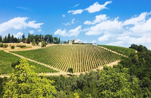 Rignano sull'Arno Apartment | Palagio 18 in chianti with Shared pool