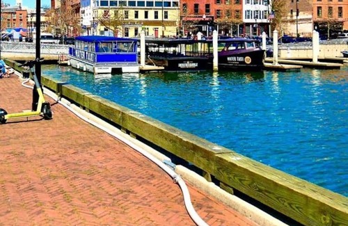 Downtown Baltimore Apartment | Experience the comfort of a studio that feels like home.