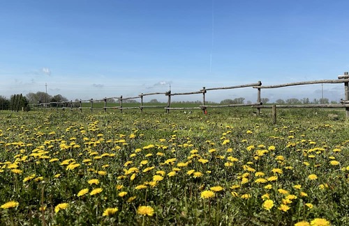 Francolino Bed & Breakfast | Casaforte La Bastide, Dimora Storica Luxury a Ferrara