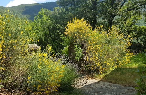 Corniglio Villa | Wonderful private villa for 8 people with TV, pets allowed, panoramic view and parking