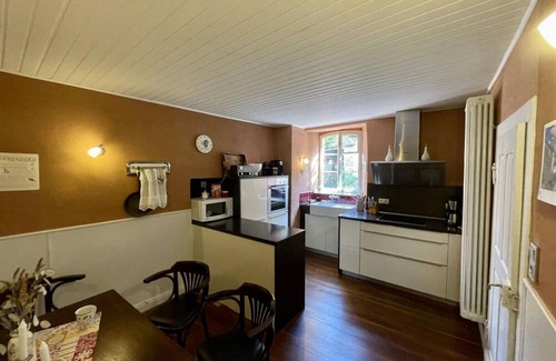 Dhron Apartment | Historical Moselle House in Neumagen-Dhron