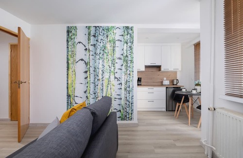 Katowice Apartment | Ordona 20A | Katowice | 2 People | Studio | Remote Work | Furnished Balcony