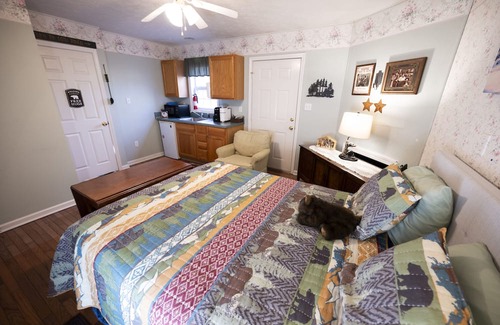 Fancy Gap Cabin | Orchard Gap Inn #2