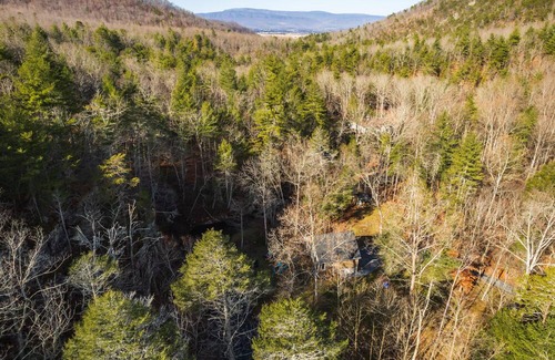 Elkton Cabin | Captivating cabin in Shenandoah