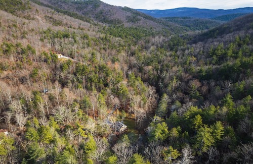 Elkton Cabin | Captivating cabin in Shenandoah