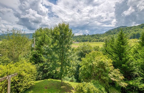 Waynesville House | Relax at Arabian Ridge - Waynesville, Canton