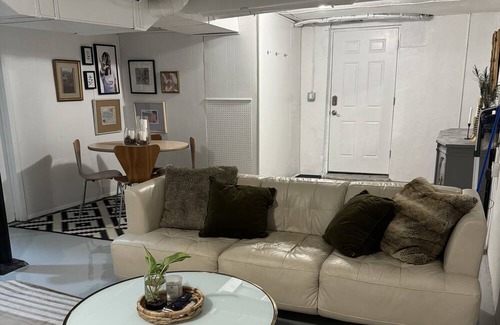 Roselawn Finance Apartment | Boho Basement Apartment walking distance to Pleasant Ridge Square & more!