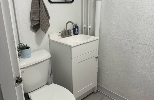 Roselawn Finance Apartment | Boho Basement Apartment walking distance to Pleasant Ridge Square & more!