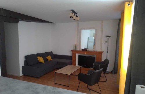 Republique Apartment | Appartement Atypique en Plein Cœur du Vieux Mans