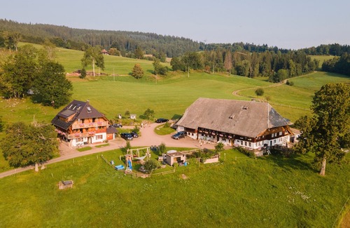 Hinterzarten Apartment | Apartment 'Feldberg' with Shared Garden, Balcony and Wi-Fi