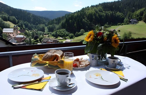 Bad Rippoldsau-Schapbach Apartment | Apartment 'Margot Armbruster' with Mountain View, Balcony and Wi-Fi