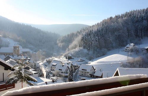 Bad Rippoldsau-Schapbach Apartment | Apartment 'Margot Armbruster' with Mountain View, Balcony and Wi-Fi