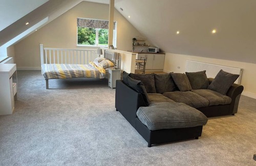Lydiard Millicent Apartment | Open Plan Studio Apartment with Fantastic Games Room