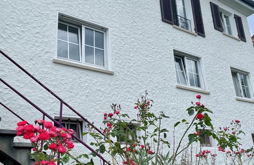 Hofherrnweiler House | Urban villa with sunny garden