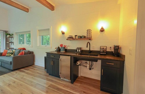 Freeport Cabin | Modern, Luxurious, Cabin in the Woods - 05 (ADA)